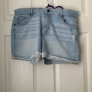 Brand new LOFT size 31 / 12 shorts
